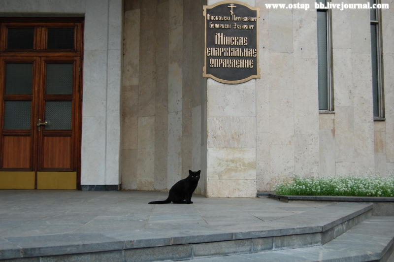 ������� ������� ���